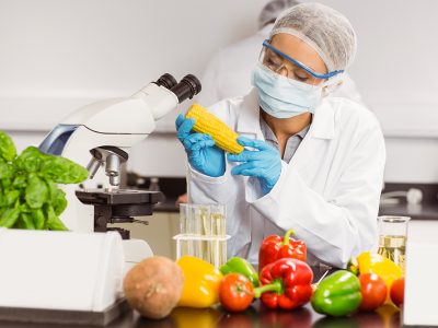 ISO 22000 Food Safety MS Lead Auditor