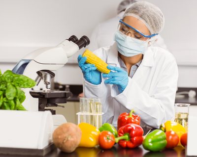 ISO 22000 Food Safety MS Lead Auditor