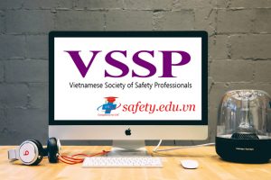 Partner VSSP